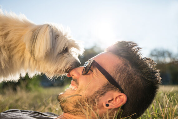 shutterstock 221933230 570x380 - Warum leckt mein Hund mich ab: Ursachen und Bedeutungen des Verhaltens